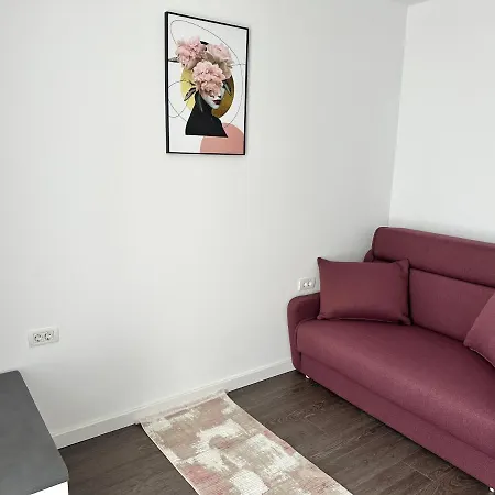 Campeador Apartament's * Timişoara