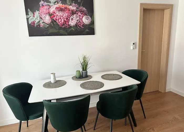 Campeador Apartament's * Timişoara