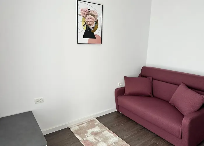 Campeador Apartament's * Timişoara